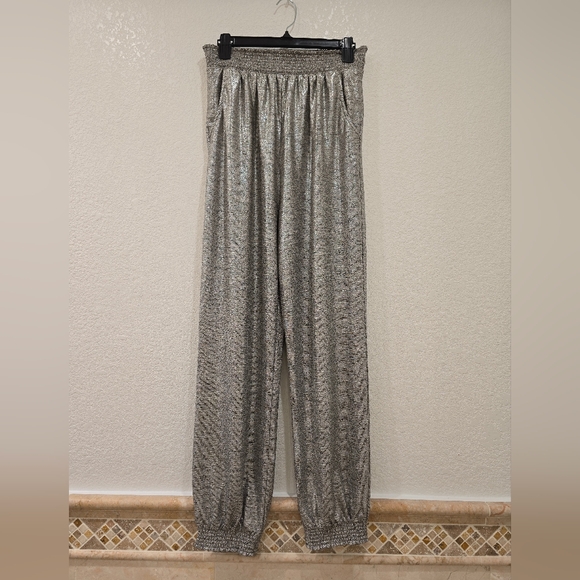 Anthropologie Metalic Silver Joggers Elastic Waist Size M - Picture 2 of 6